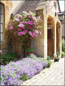 Flowers in bloom outside stone cottage